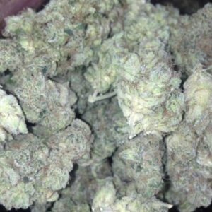 Black Diamond
