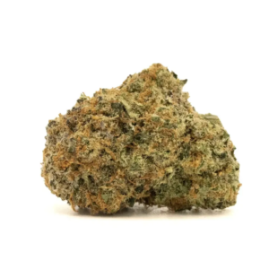 Blue Iced Cake | HYBRID