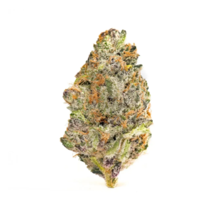 ELECTRIC MIMOSA | HYBRID