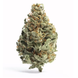 Gorilla cookies | Hybrid