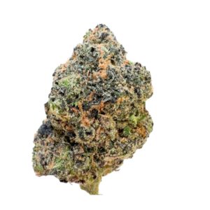 Lemon Cherry Gushers | INDICA