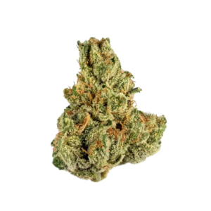 Purple Punch | INDICA
