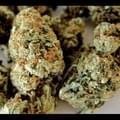 Sour Diesel