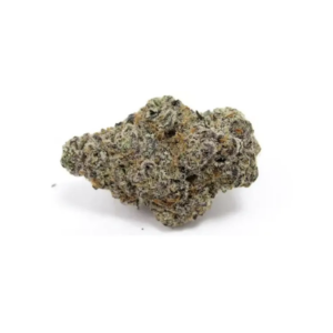 Tropical Runtz | SATIVA