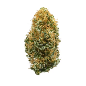 White widow | Hybrid