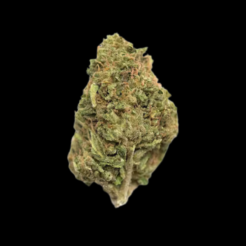 Northern Lights