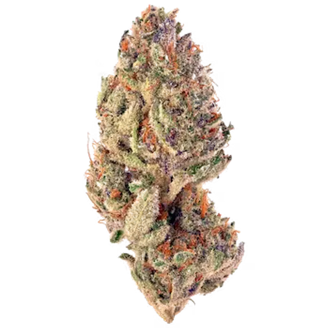 Sorbet