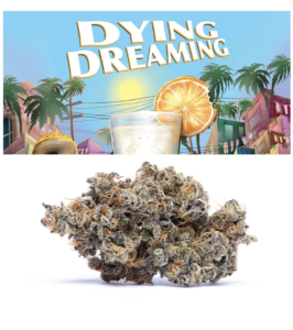 Dying Dreaming