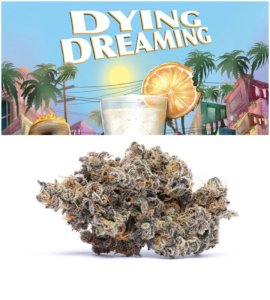 Dying Dreaming