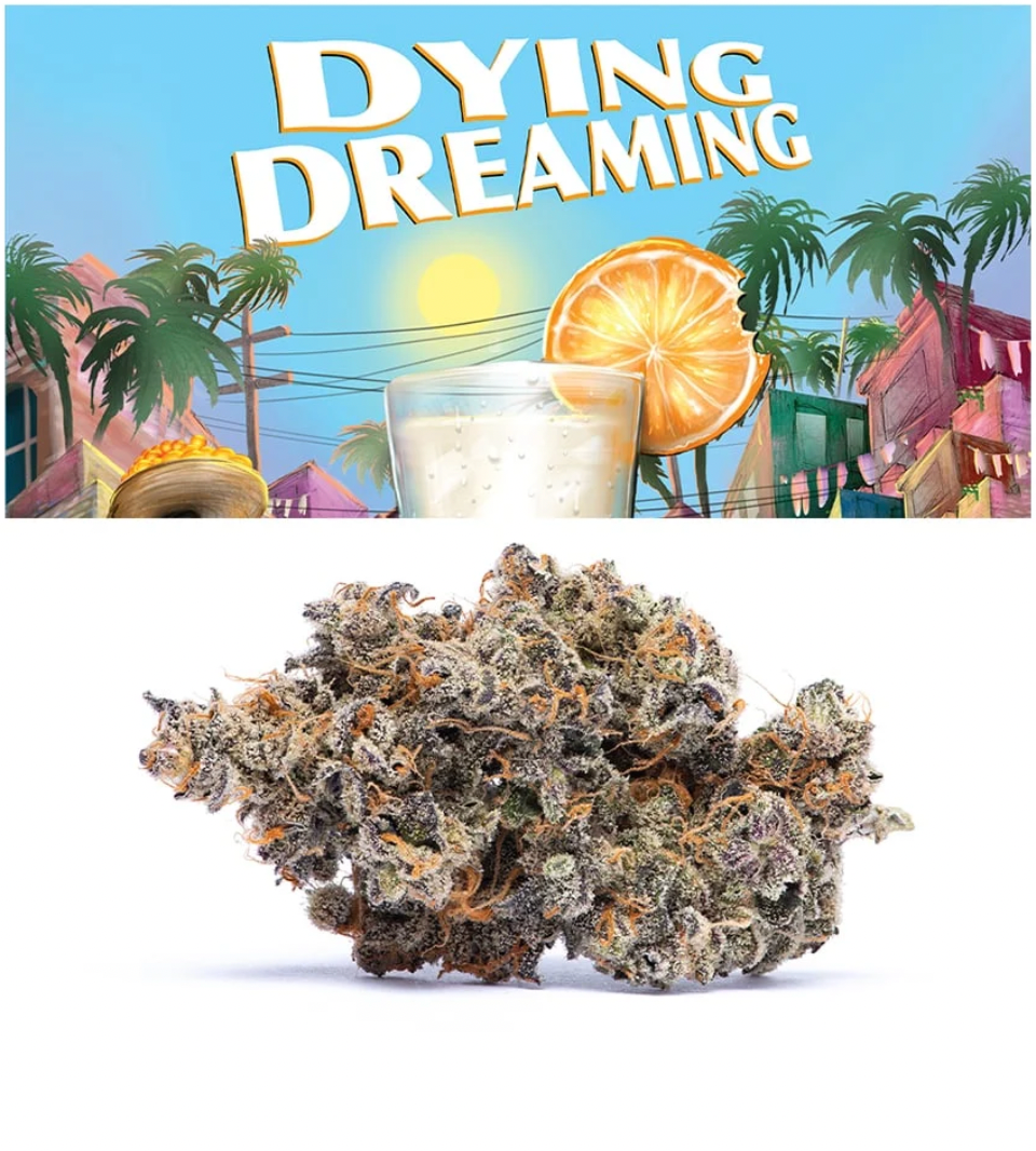 Dying Dreaming